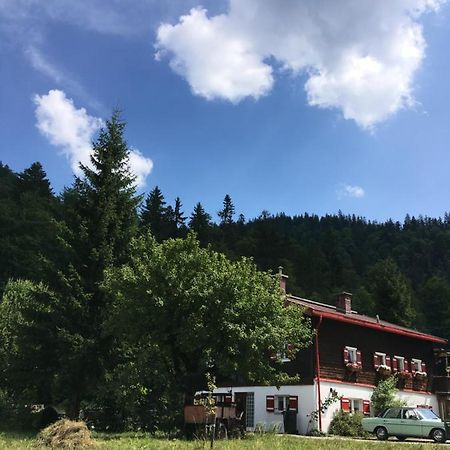 Gatterl Zum See Reit im Winkl Buitenkant foto