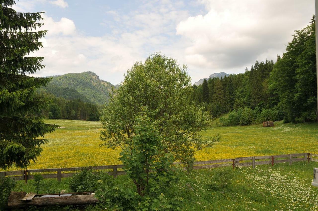 Gatterl Zum See Reit im Winkl Buitenkant foto