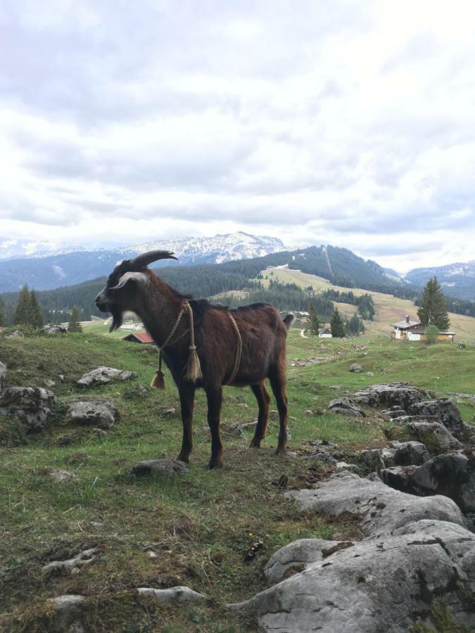 Gatterl Zum See Reit im Winkl Buitenkant foto