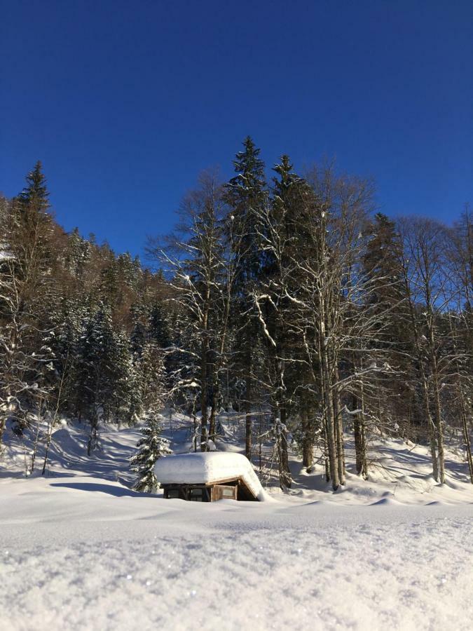 Gatterl Zum See Reit im Winkl Buitenkant foto