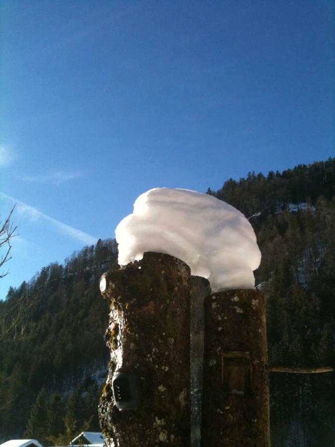 Gatterl Zum See Reit im Winkl Buitenkant foto